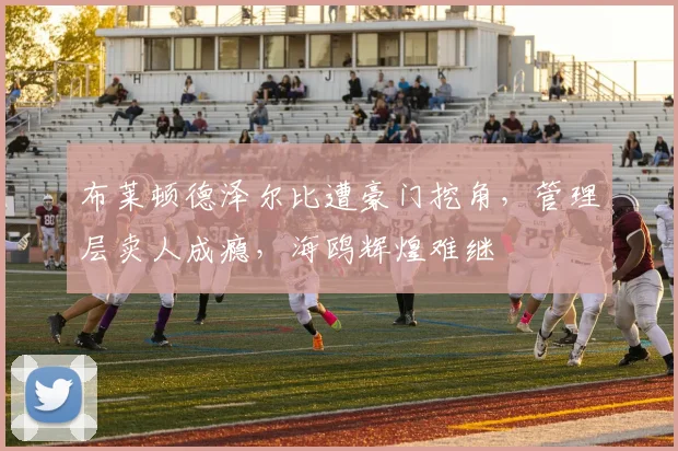 布莱顿德泽尔比遭豪门挖角，管理层卖人成瘾，海鸥辉煌难继