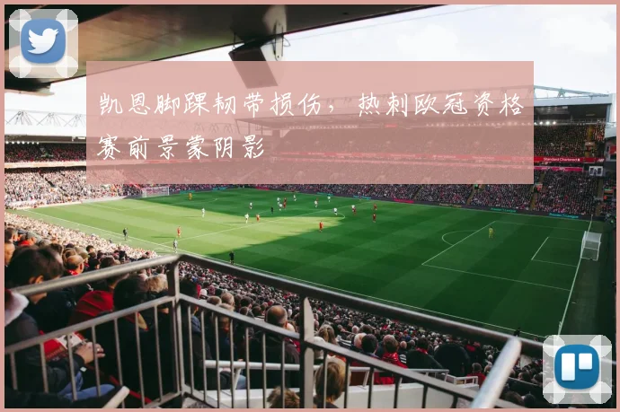 凯恩脚踝韧带损伤，热刺欧冠资格赛前景蒙阴影